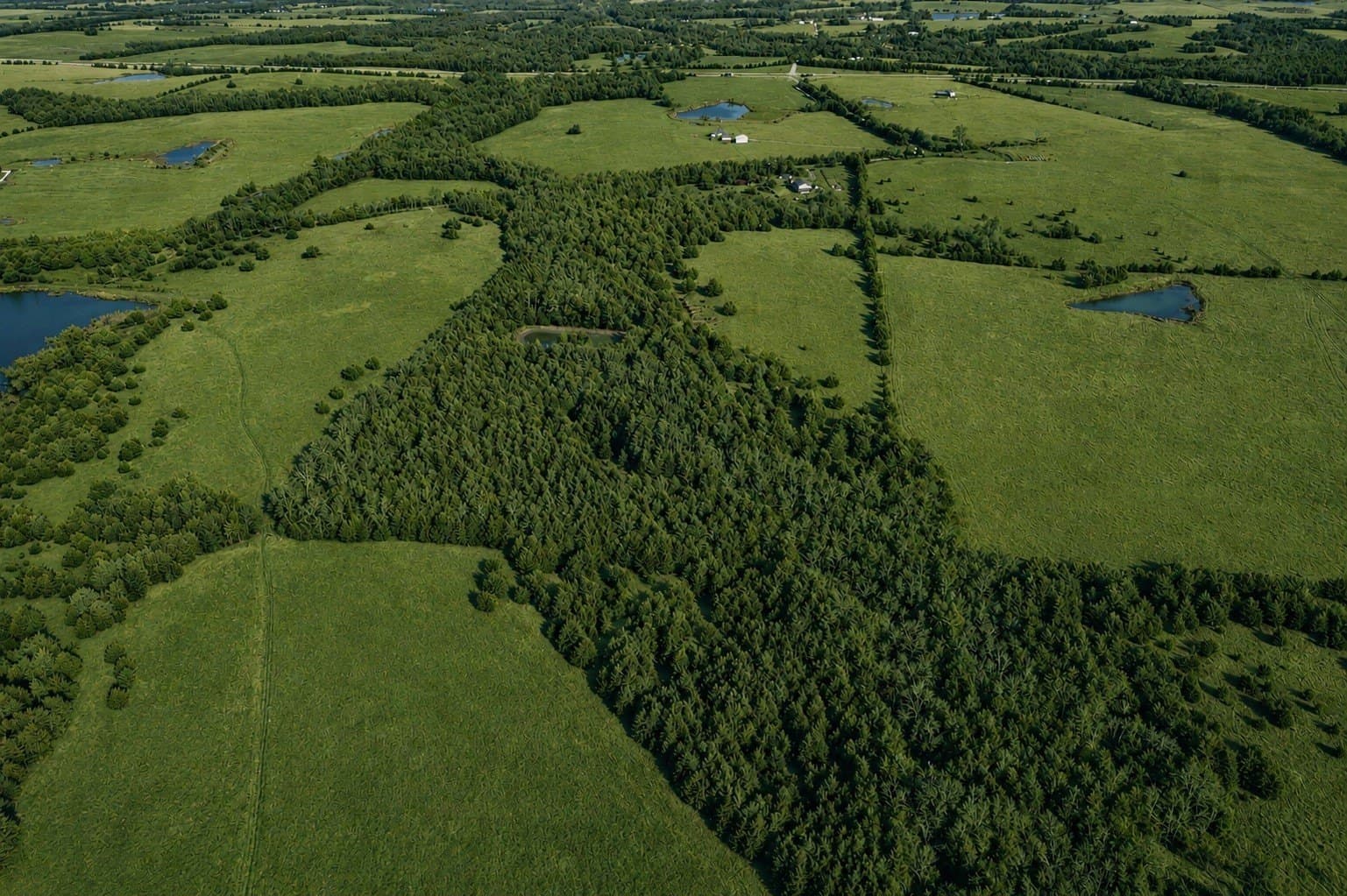 30.45 acres in Fannin County - photo 30