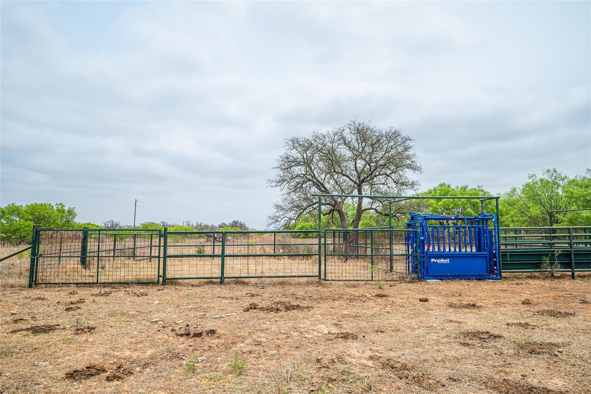 485 acres in San Saba County - photo 32