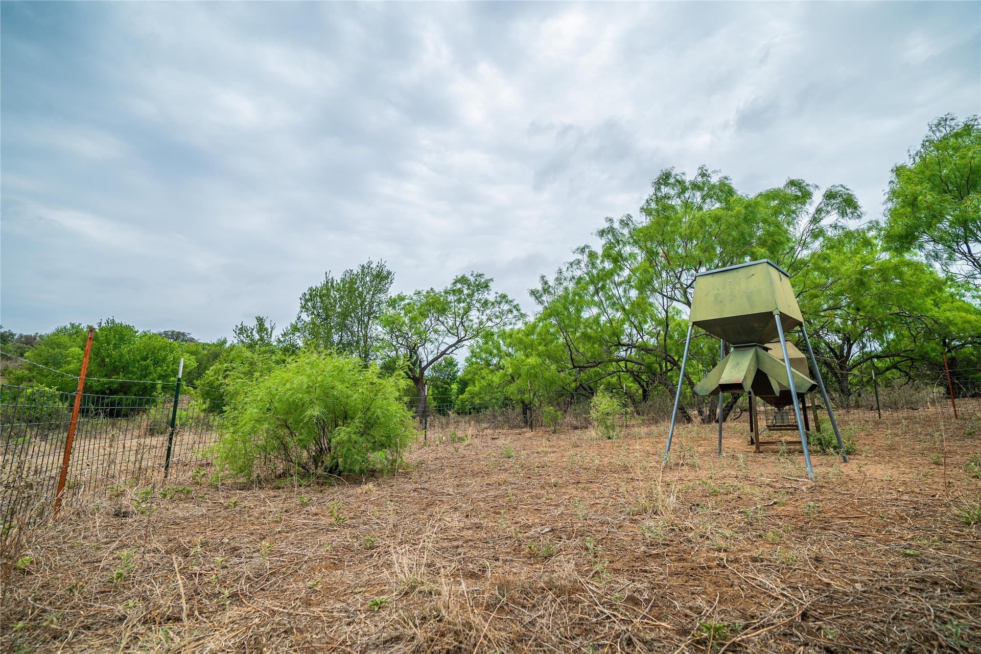485 acres in San Saba County - photo 21