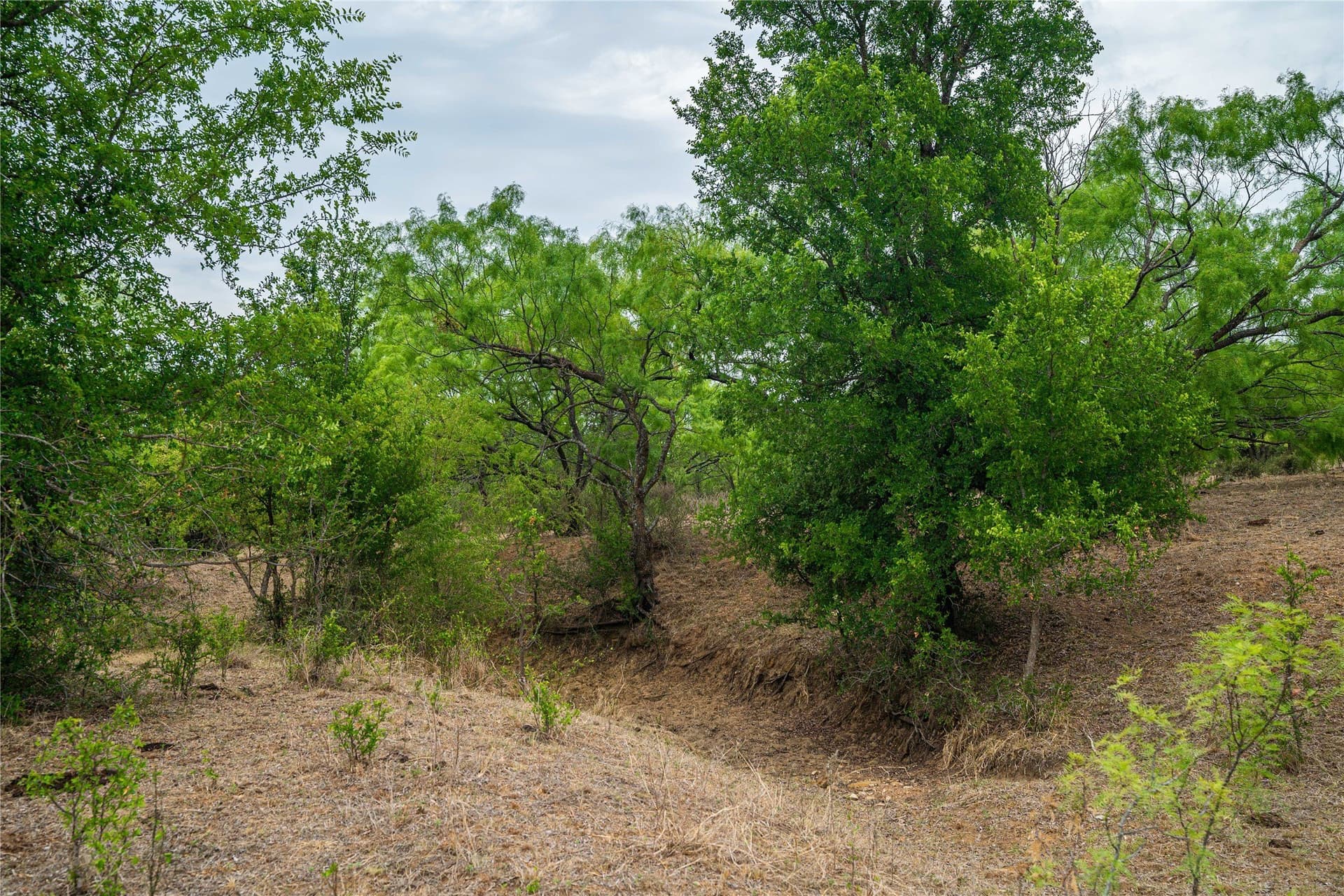 485 acres in San Saba County - photo 23