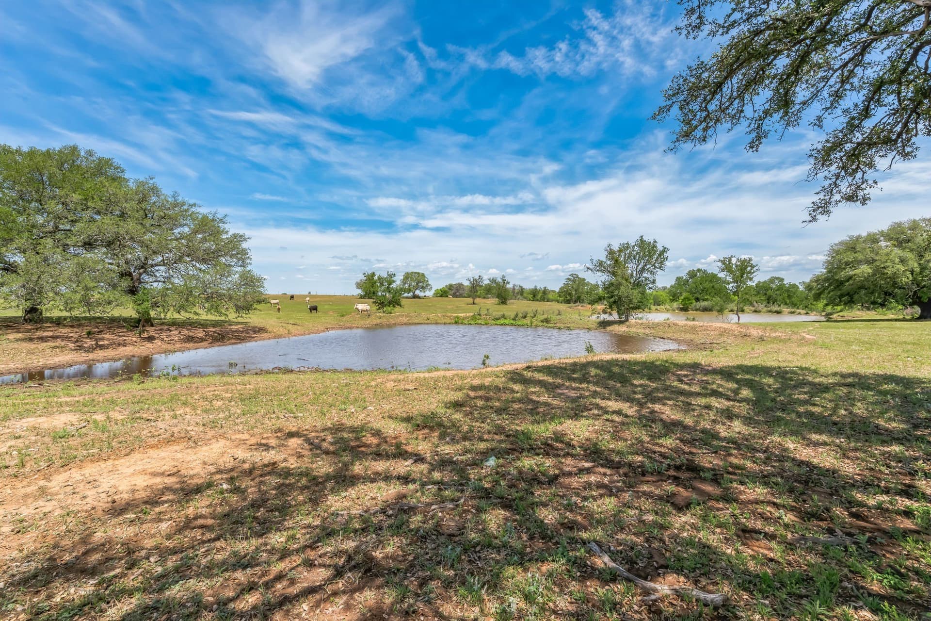 485 acres in San Saba County - photo 25