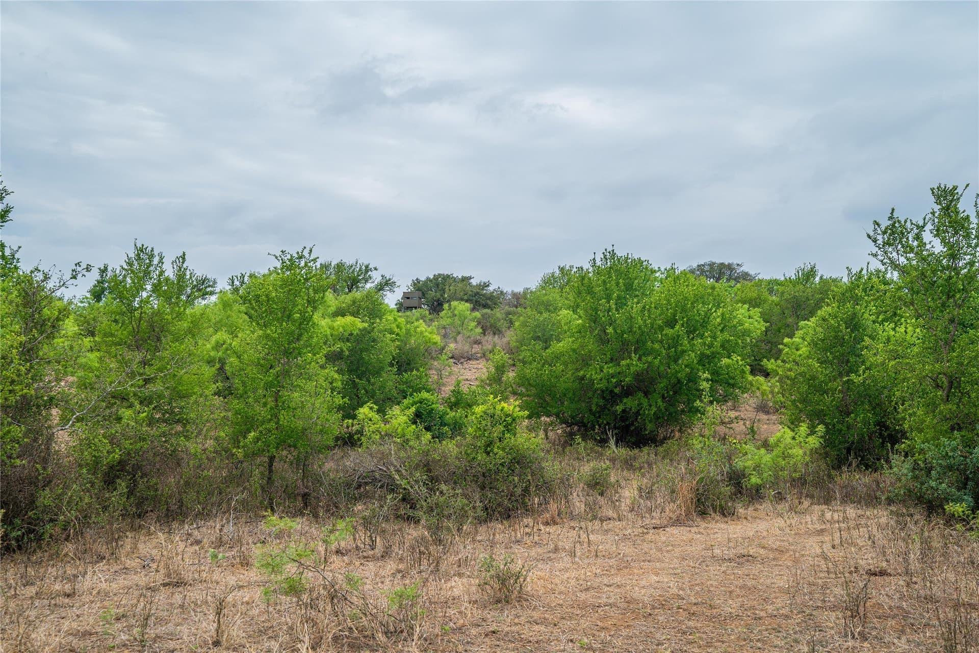 485 acres in San Saba County - photo 22