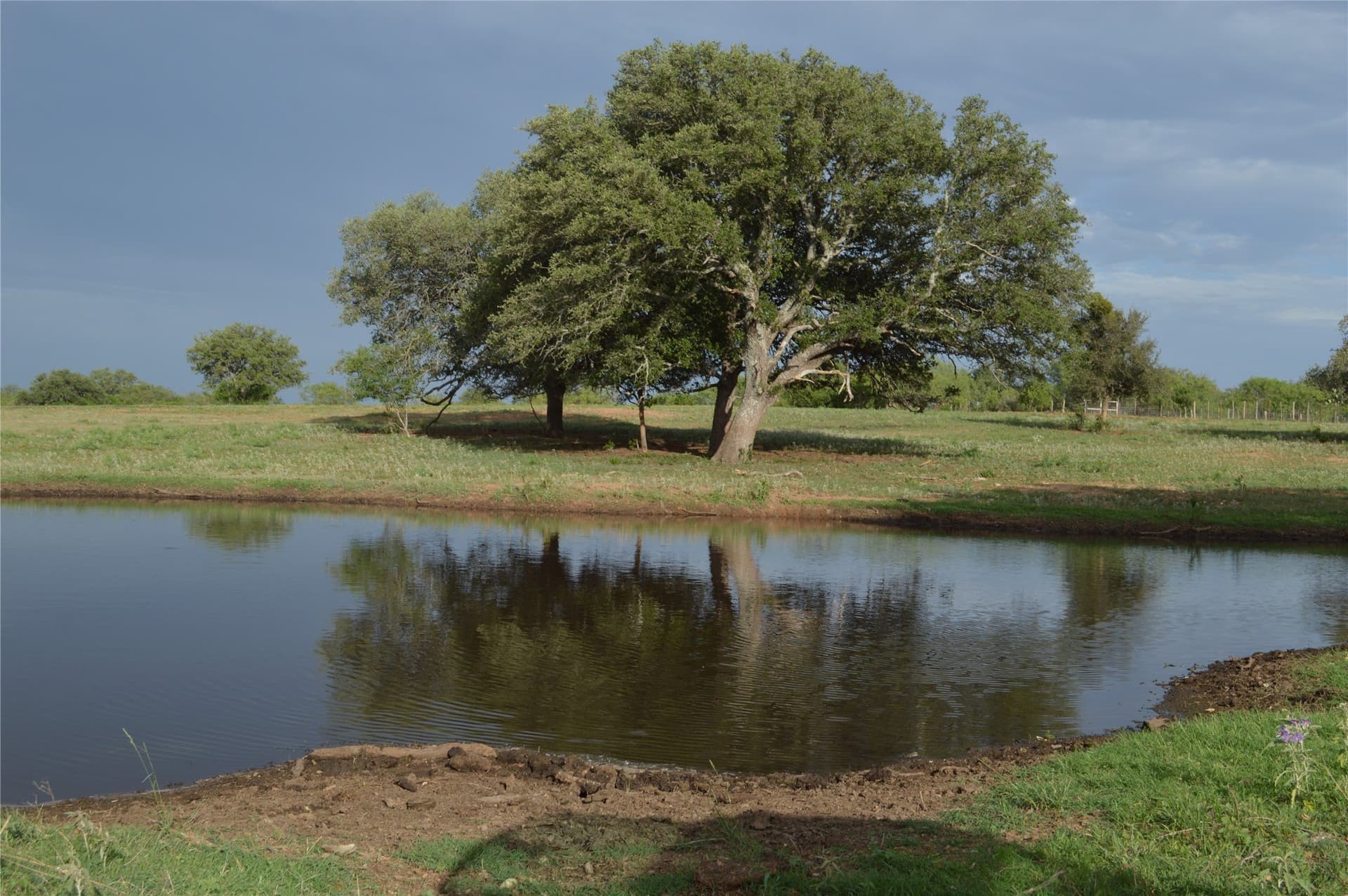 485 acres in San Saba County