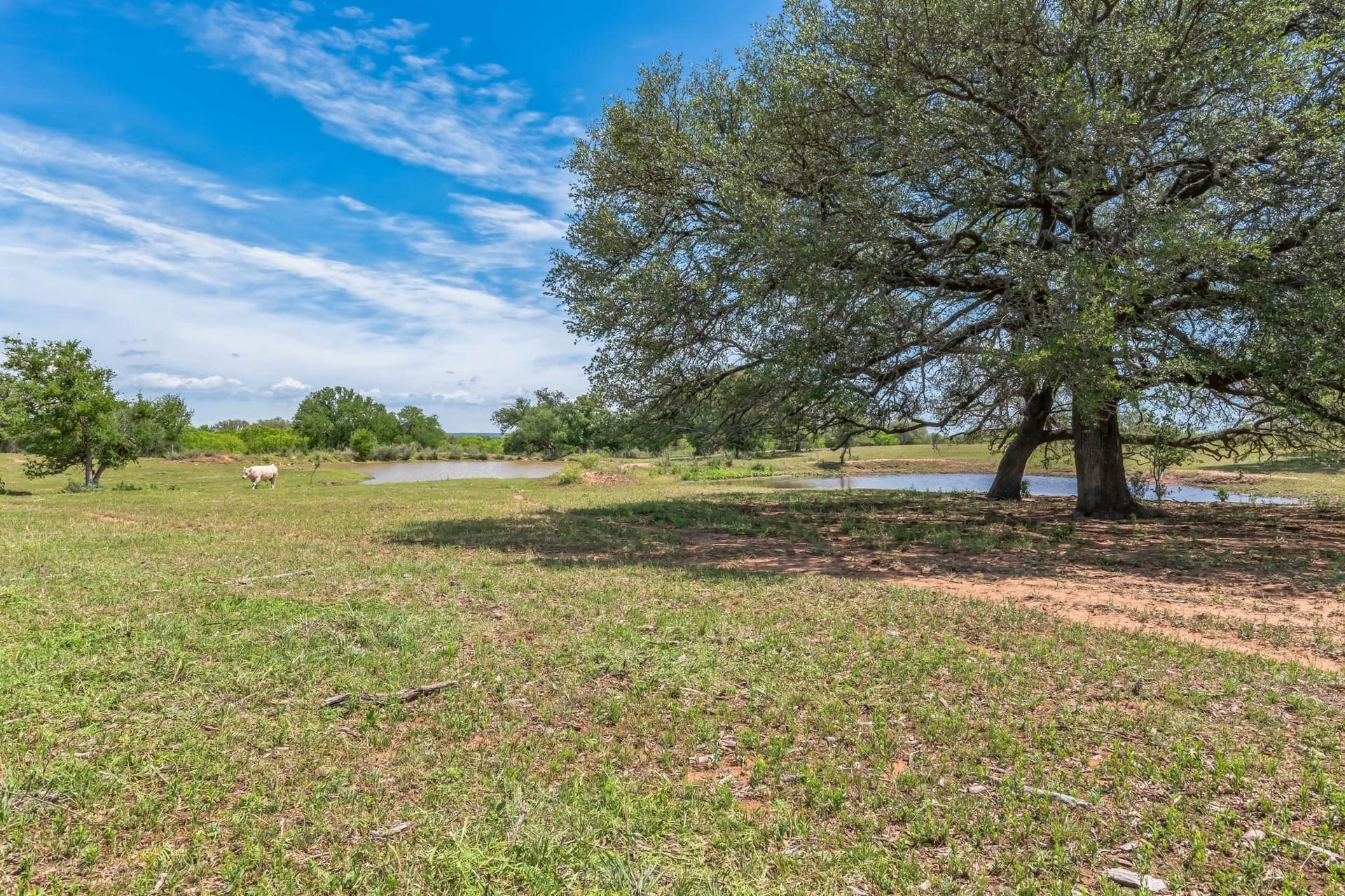 485 acres in San Saba County - photo 29