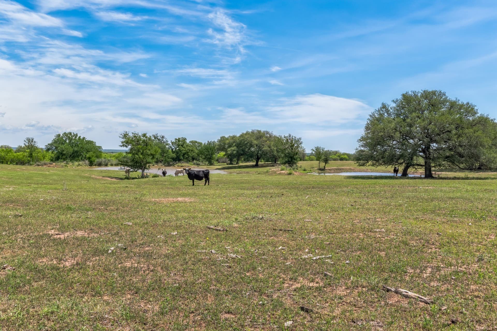 485 acres in San Saba County - photo 28