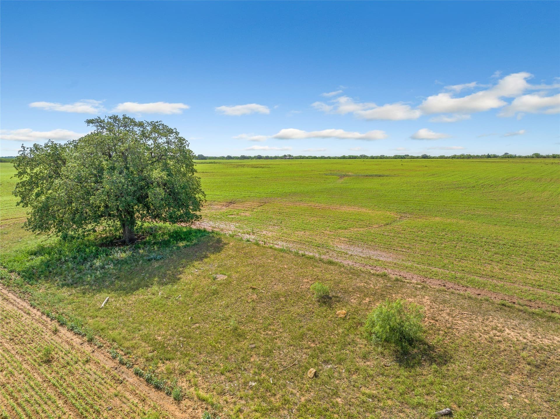 485 acres in San Saba County - photo 27