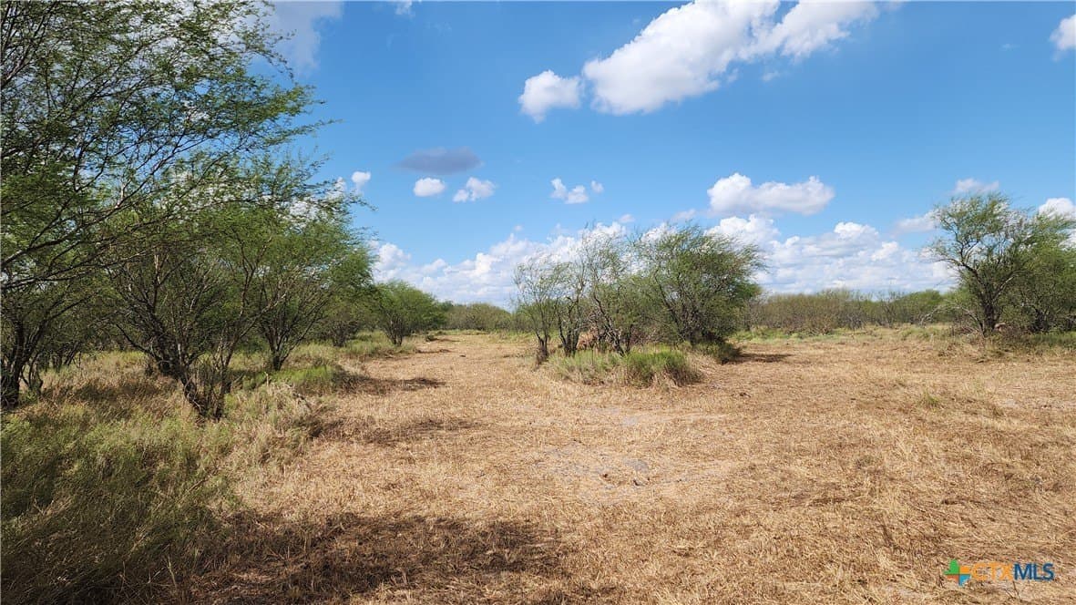 37.64 acres in Victoria County gallery image 4