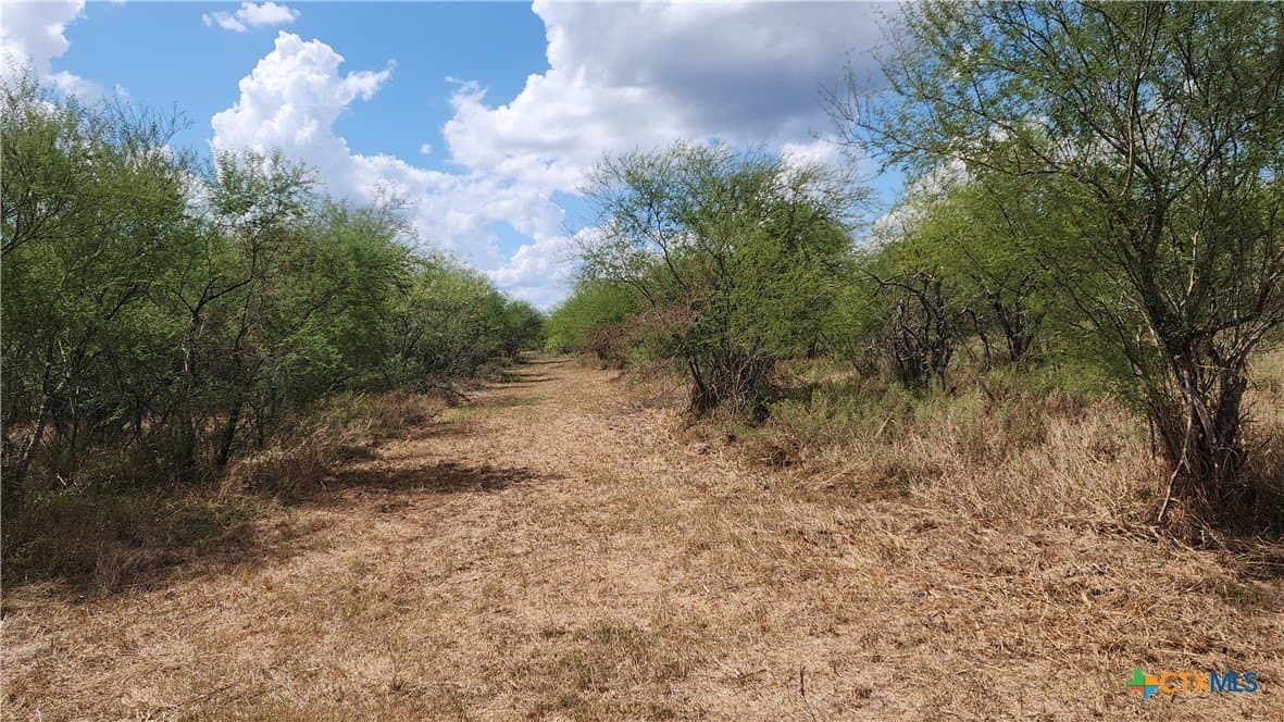 37.64 acres in Victoria County gallery image 3