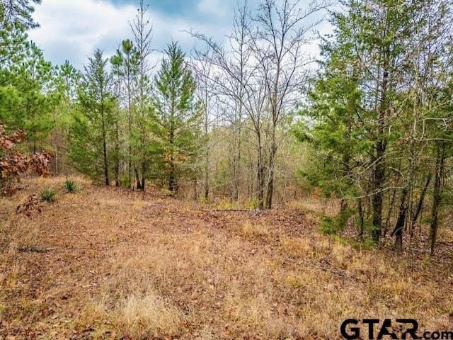 172.21 acres in Morris County - photo 21