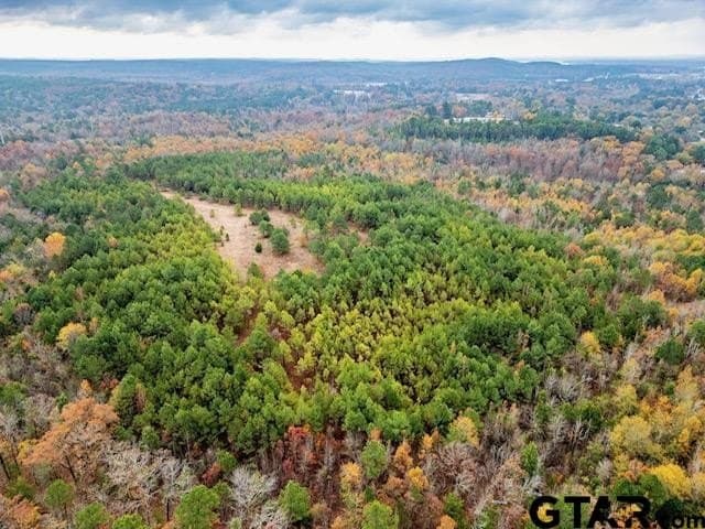 172.21 acres in Morris County - photo 24