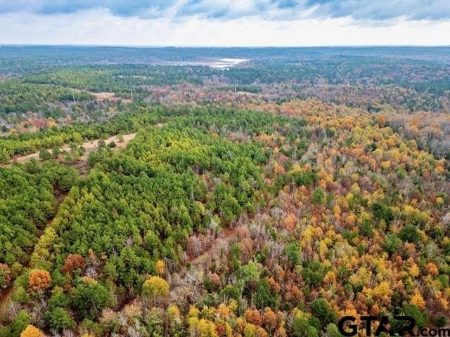 172.21 acres in Morris County - photo 17