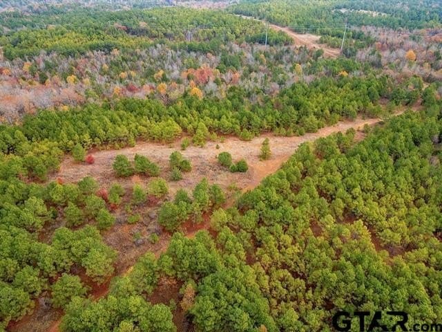 172.21 acres in Morris County - photo 18