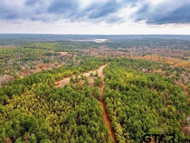 172.21 acres in Morris County - photo 23
