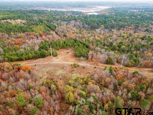 172.21 acres in Morris County - photo 13