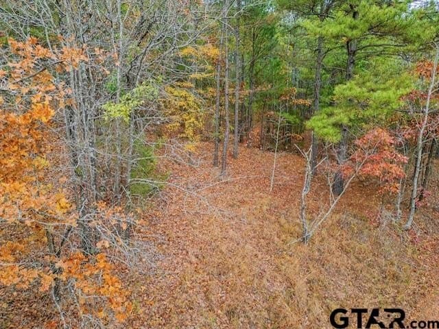 172.21 acres in Morris County gallery image 4