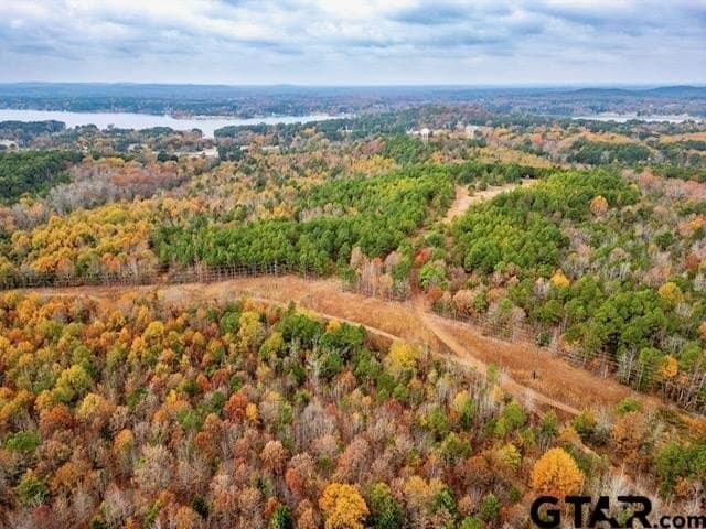 172.21 acres in Morris County - photo 11
