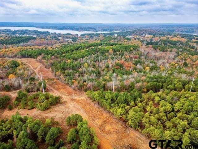 172.21 acres in Morris County - photo 9