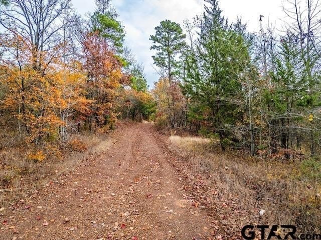 172.21 acres in Morris County gallery image 3