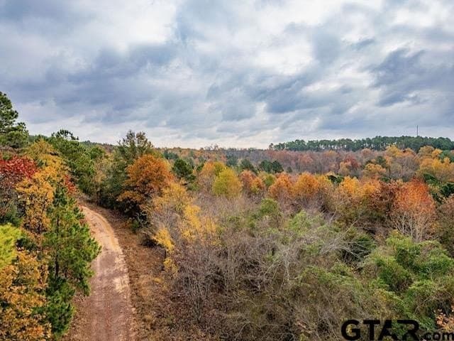 172.21 acres in Morris County - photo 15