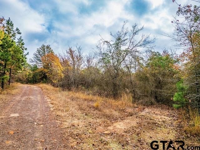 172.21 acres in Morris County - photo 20