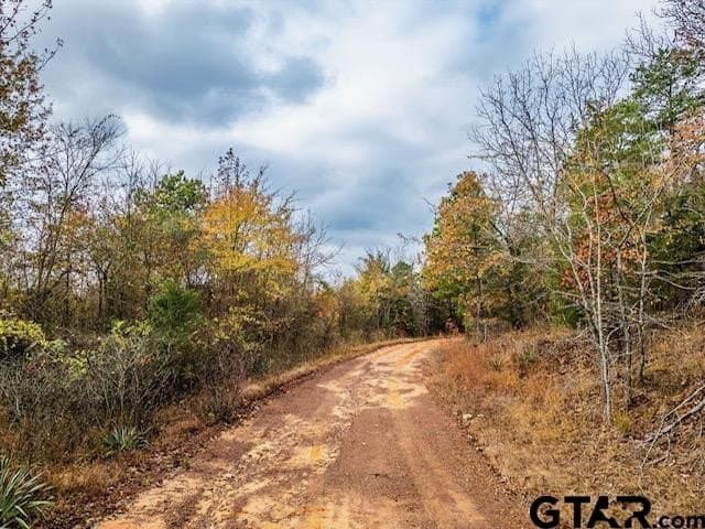 172.21 acres in Morris County gallery image 2