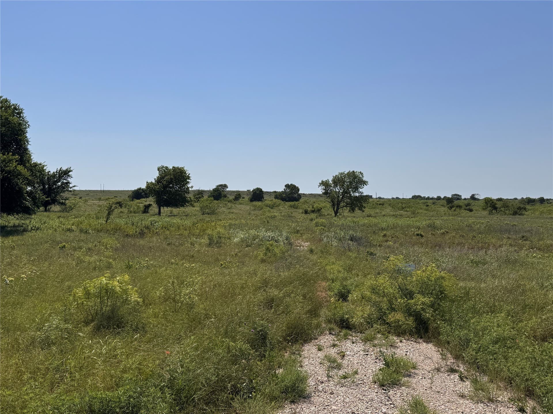 10.01 acres in Montague County gallery image 4