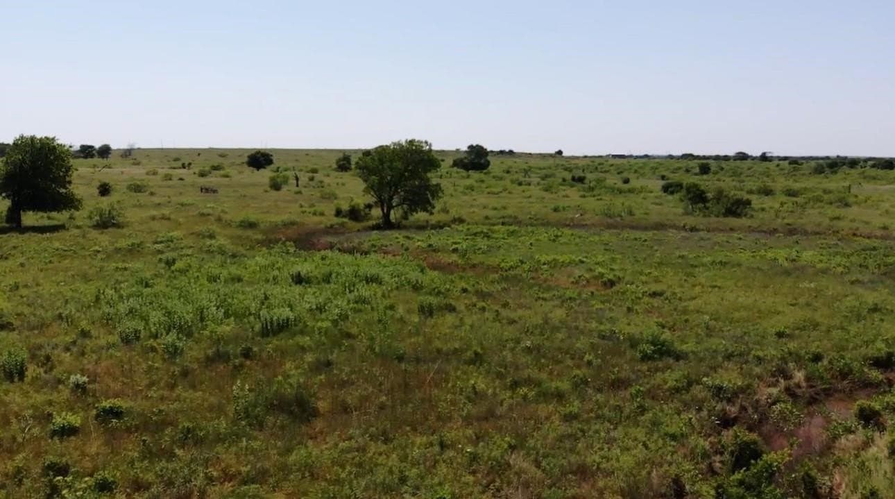 10.01 acres in Montague County - photo 6