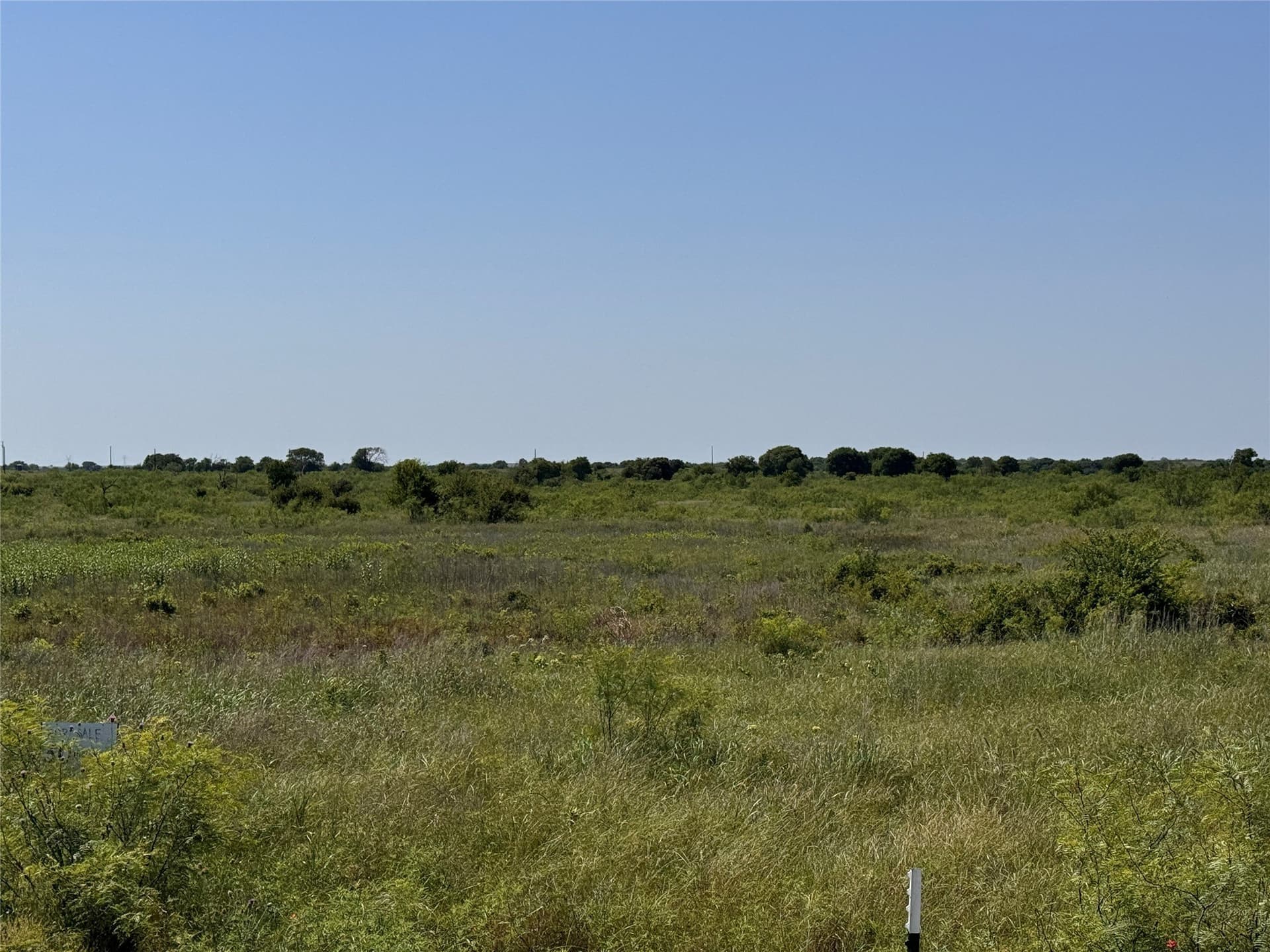 10.01 acres in Montague County gallery image 3