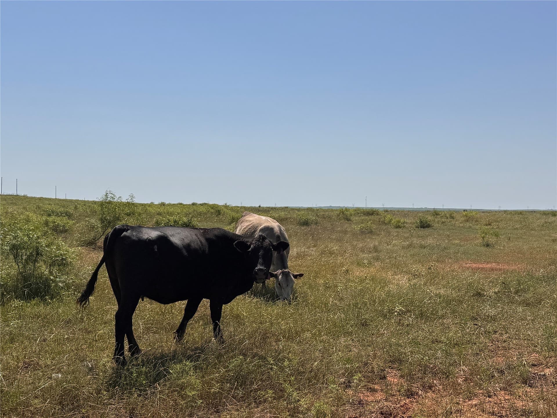 10.01 acres in Montague County - photo 8