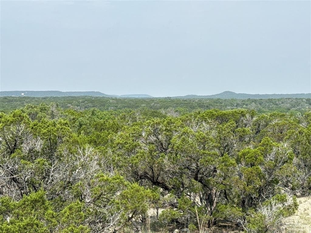 12 acres in Somervell County gallery image 2