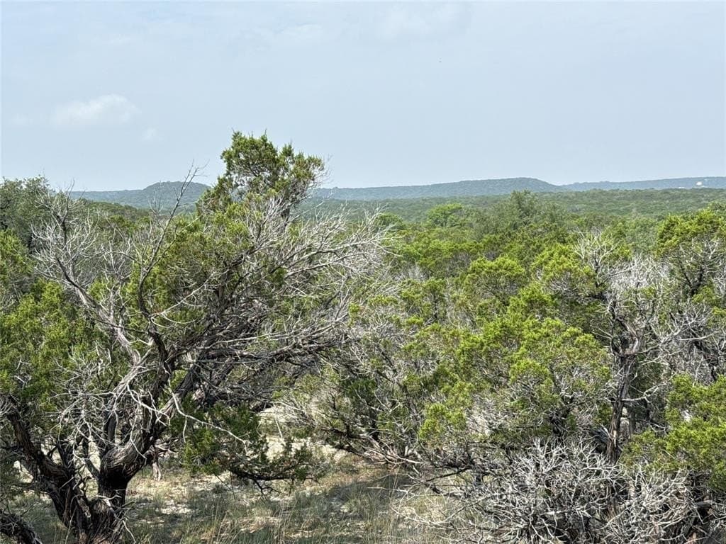 12 acres in Somervell County gallery image 3