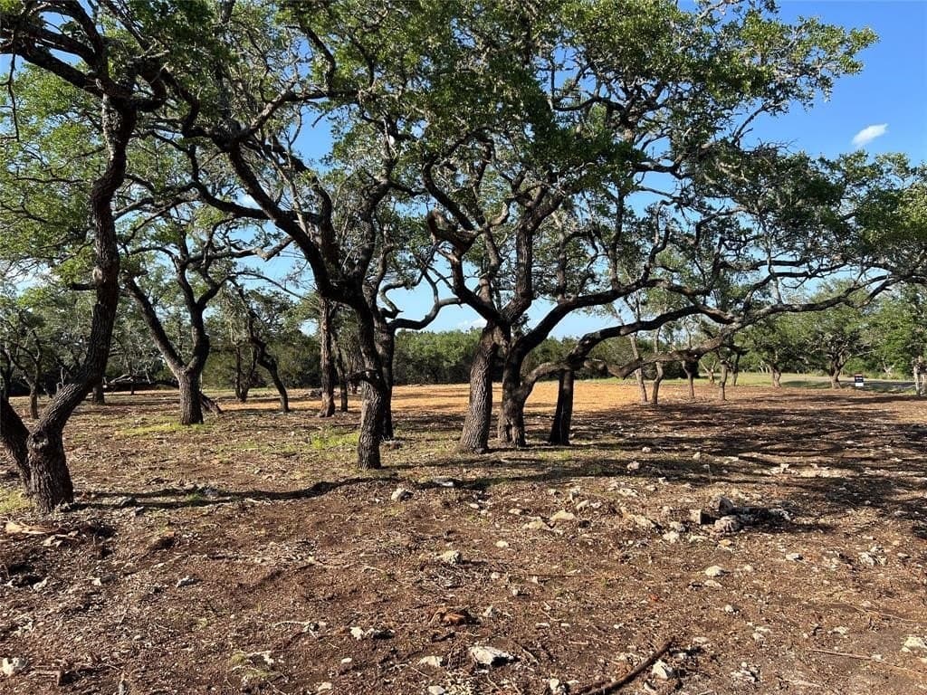 2.5 acres in Hays County - photo 16