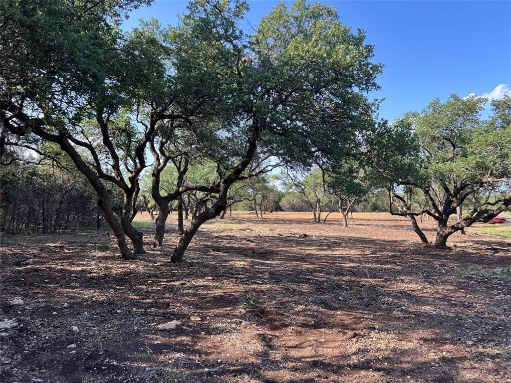 2.5 acres in Hays County - photo 11