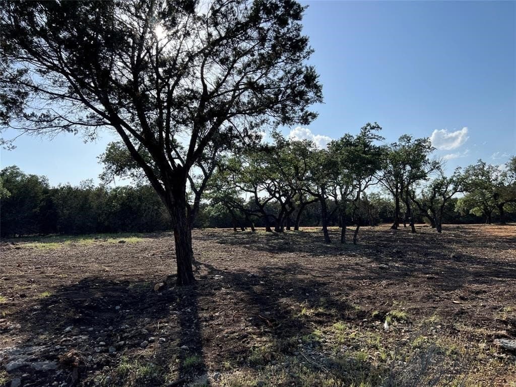 2.5 acres in Hays County - photo 14