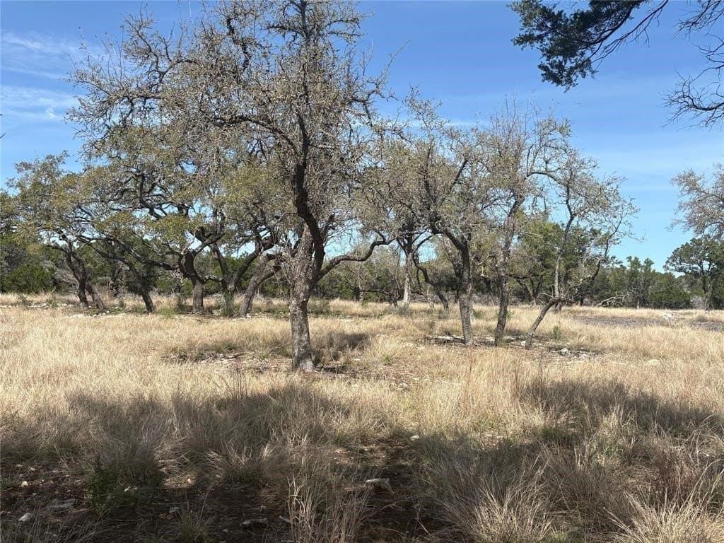 2.5 acres in Hays County - photo 19