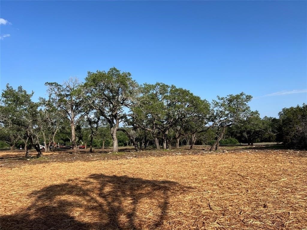 2.5 acres in Hays County - photo 8