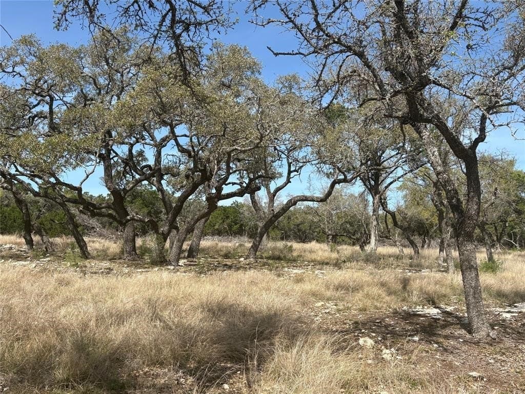 2.5 acres in Hays County - photo 21