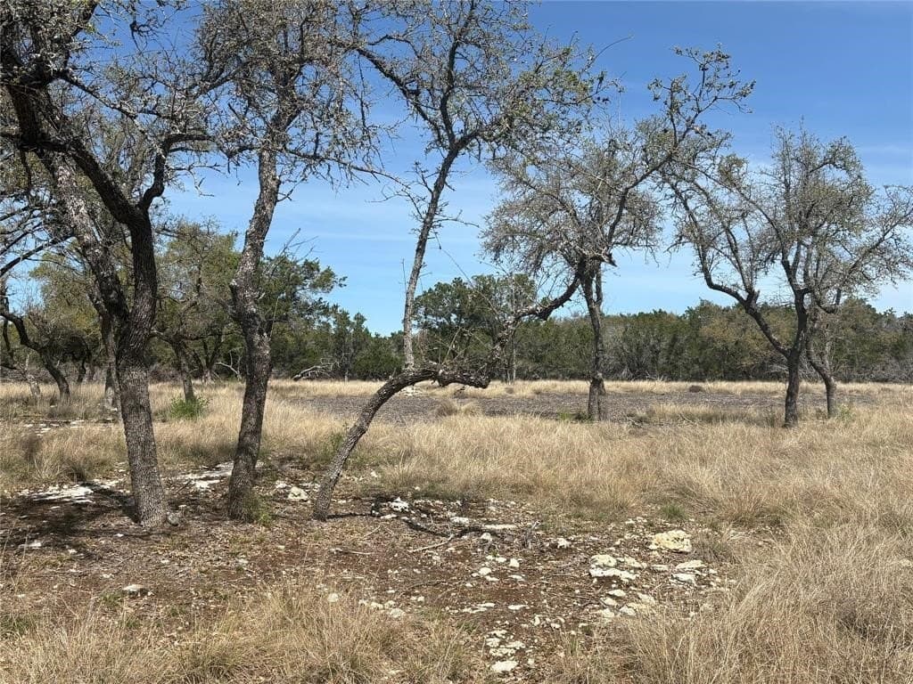 2.5 acres in Hays County - photo 22