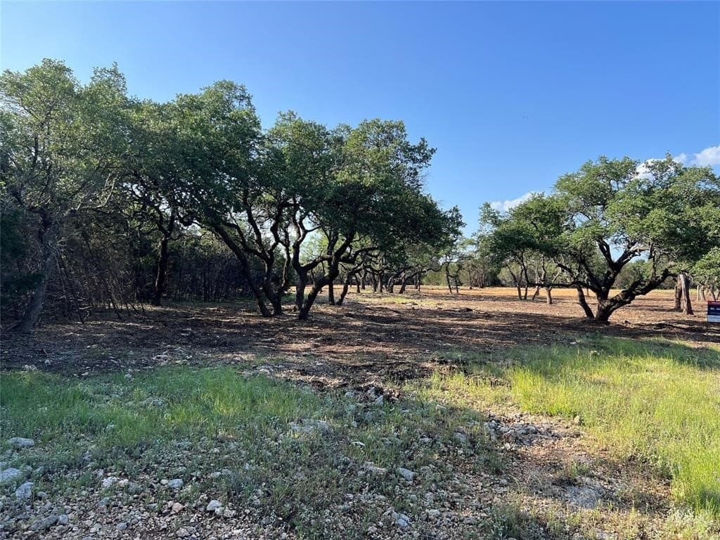 2.5 acres in Hays County - photo 2