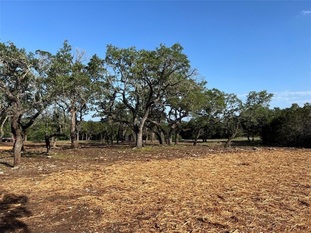 2.5 acres in Hays County - photo 7