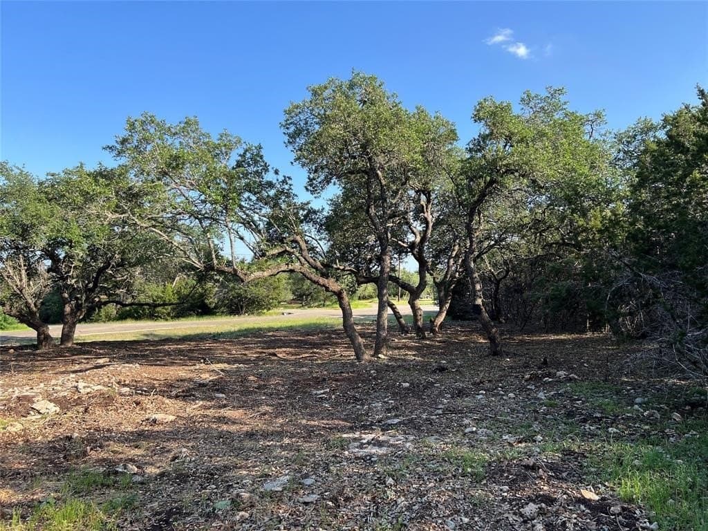 2.5 acres in Hays County - photo 10