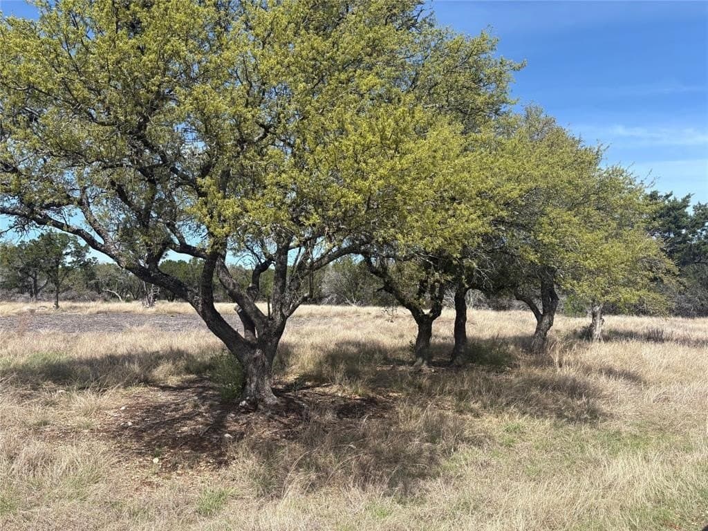 2.5 acres in Hays County - photo 23