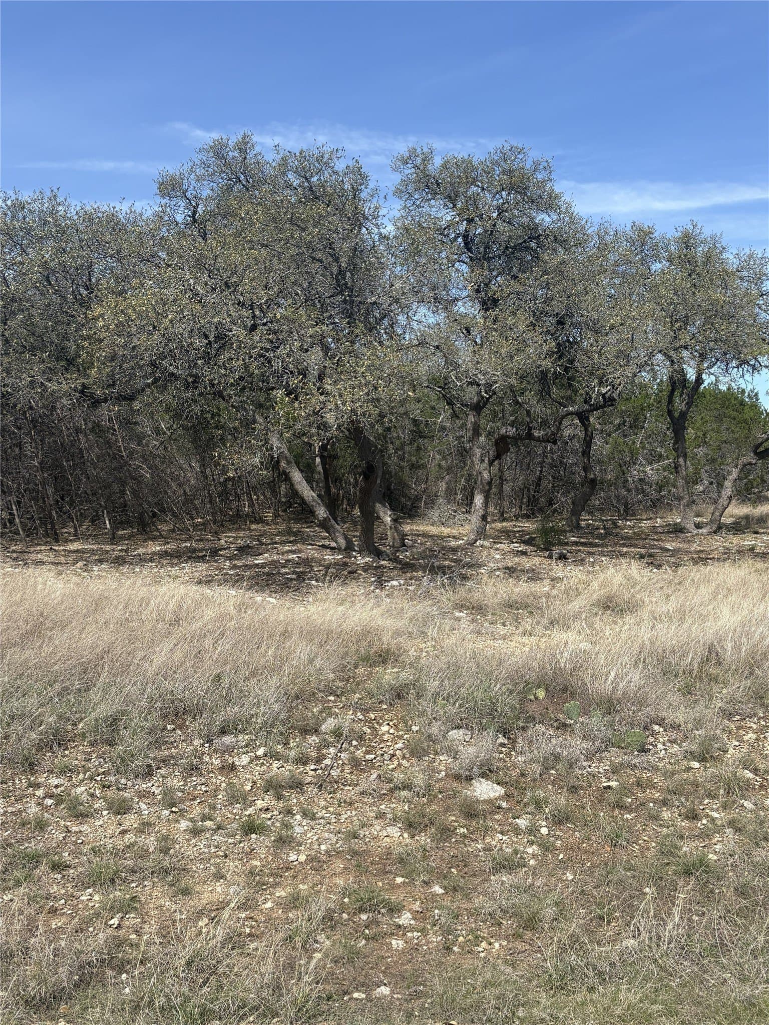 2.5 acres in Hays County - photo 17
