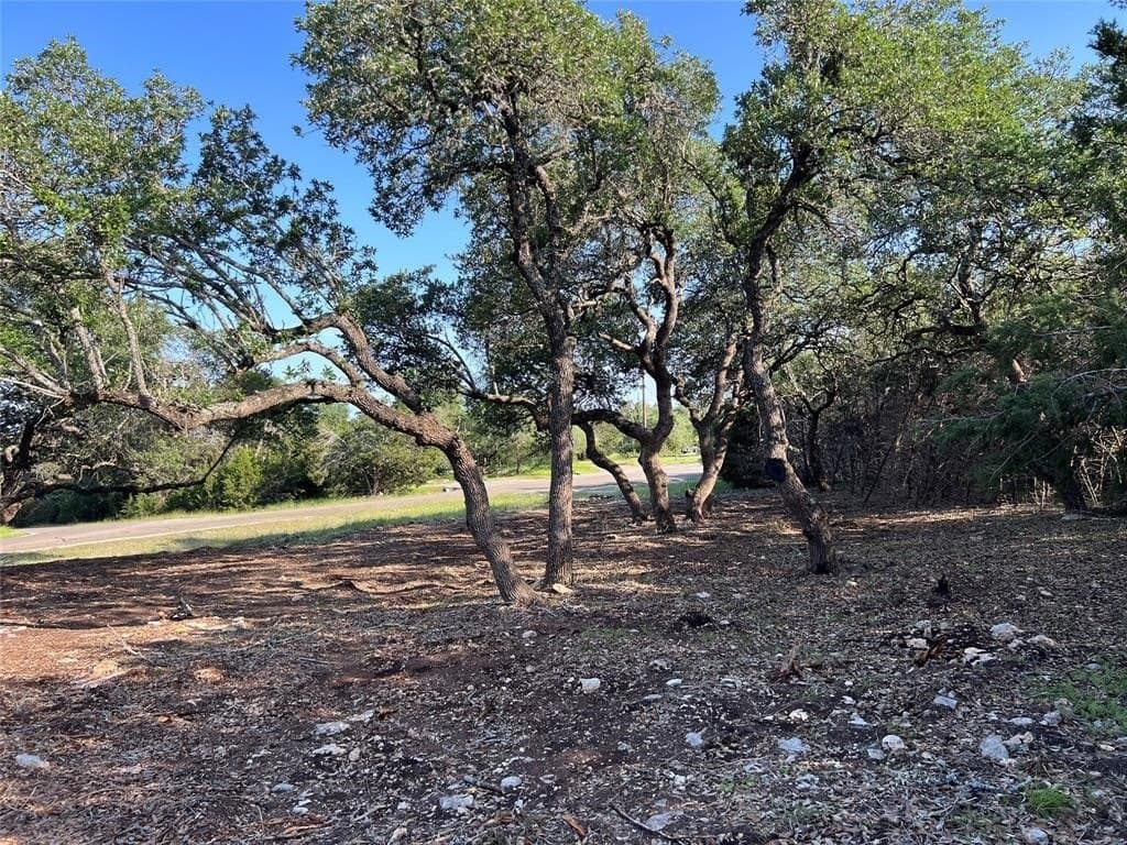2.5 acres in Hays County - photo 12