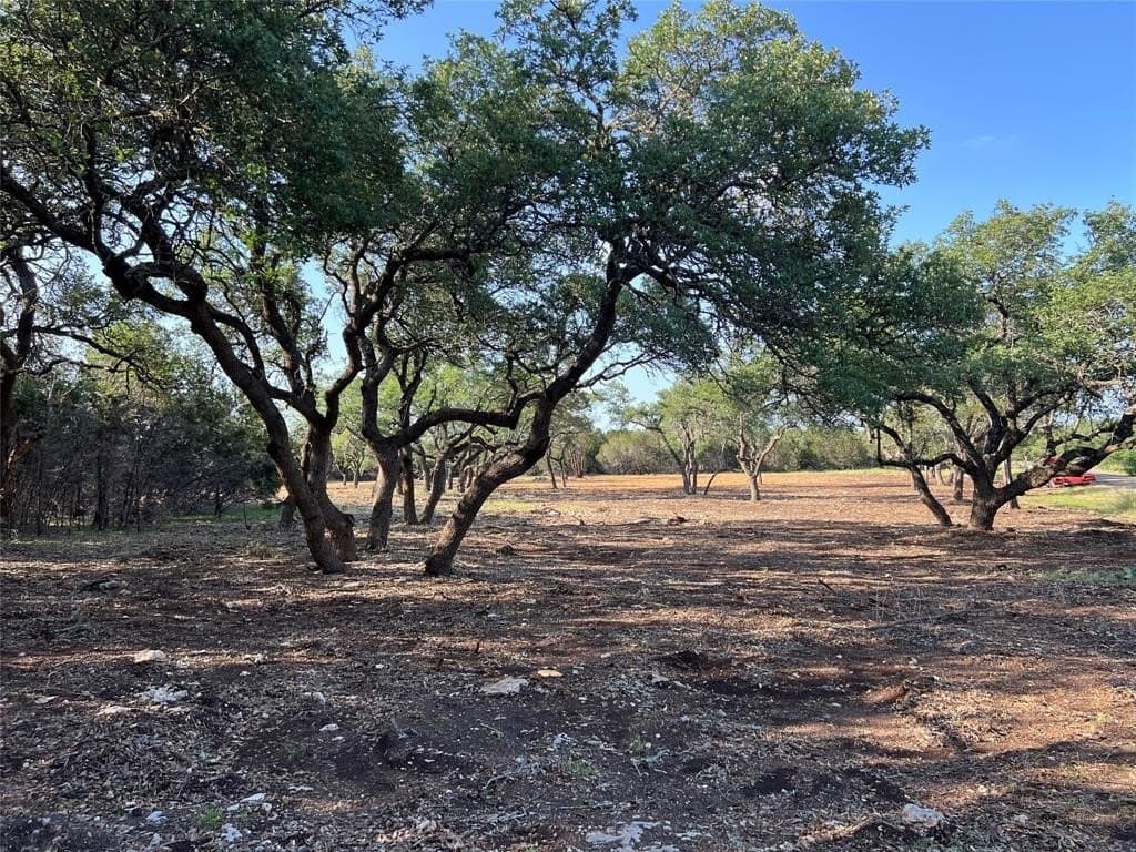 2.5 acres in Hays County - photo 13