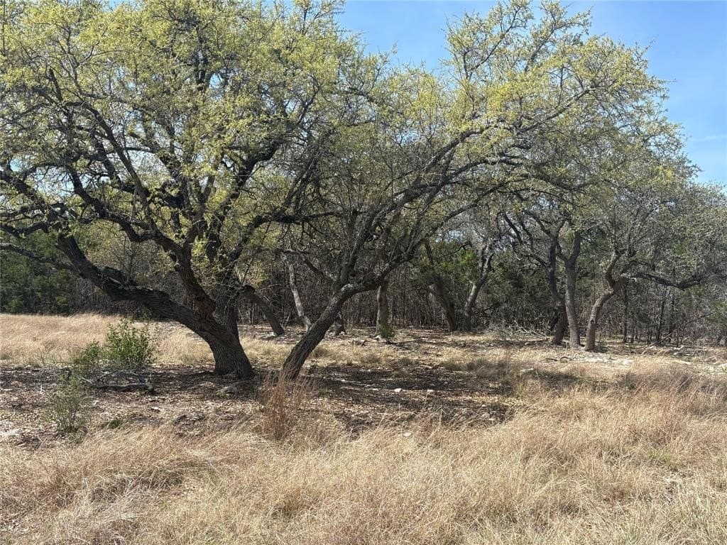 2.5 acres in Hays County - photo 18