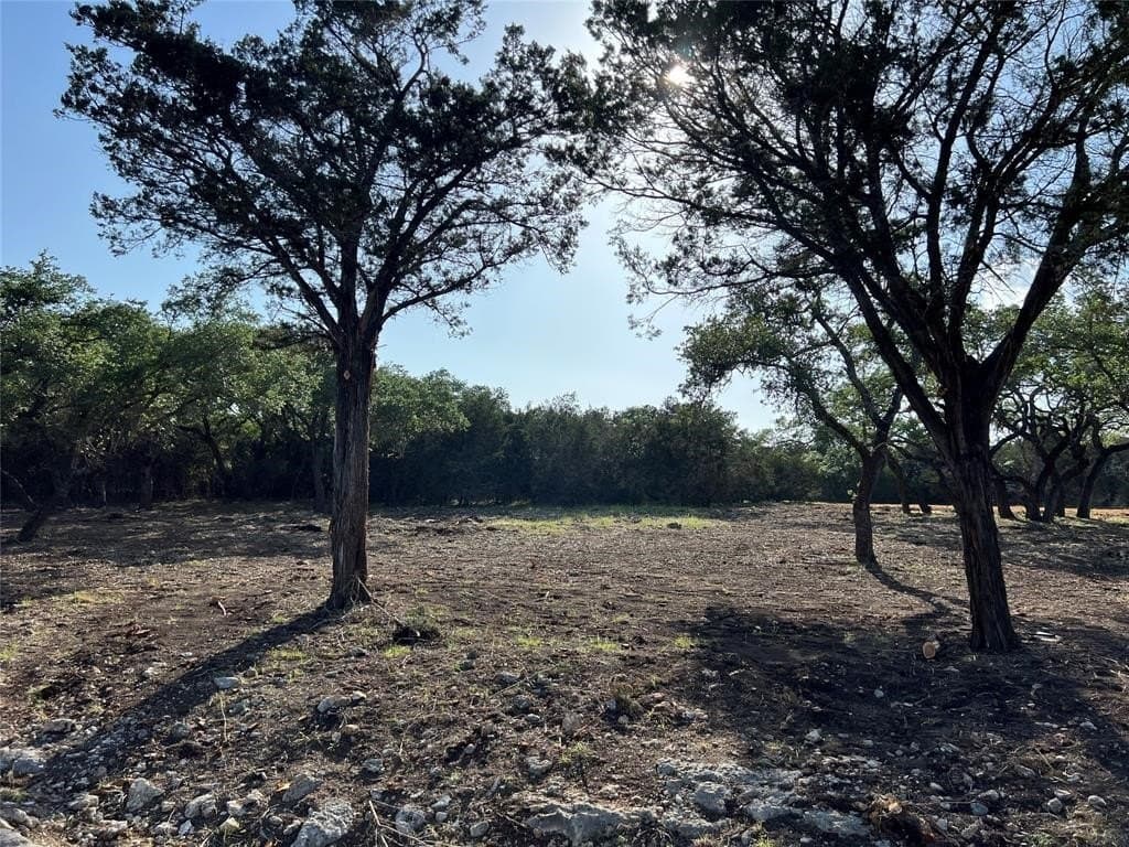 2.5 acres in Hays County - photo 15