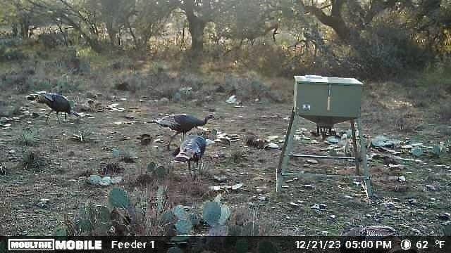 10.74 acres in McCulloch County - photo 25