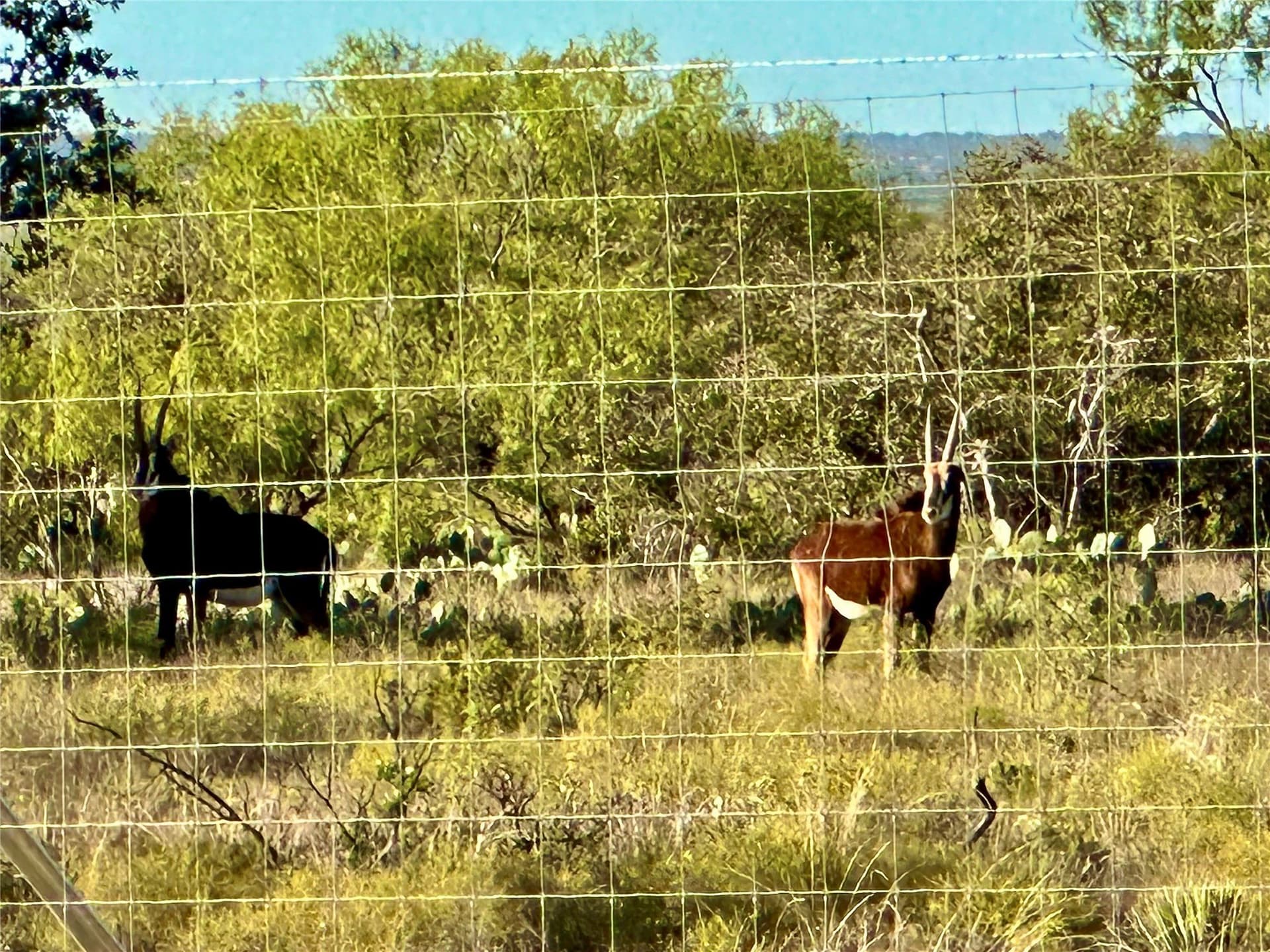 10.74 acres in McCulloch County - photo 11