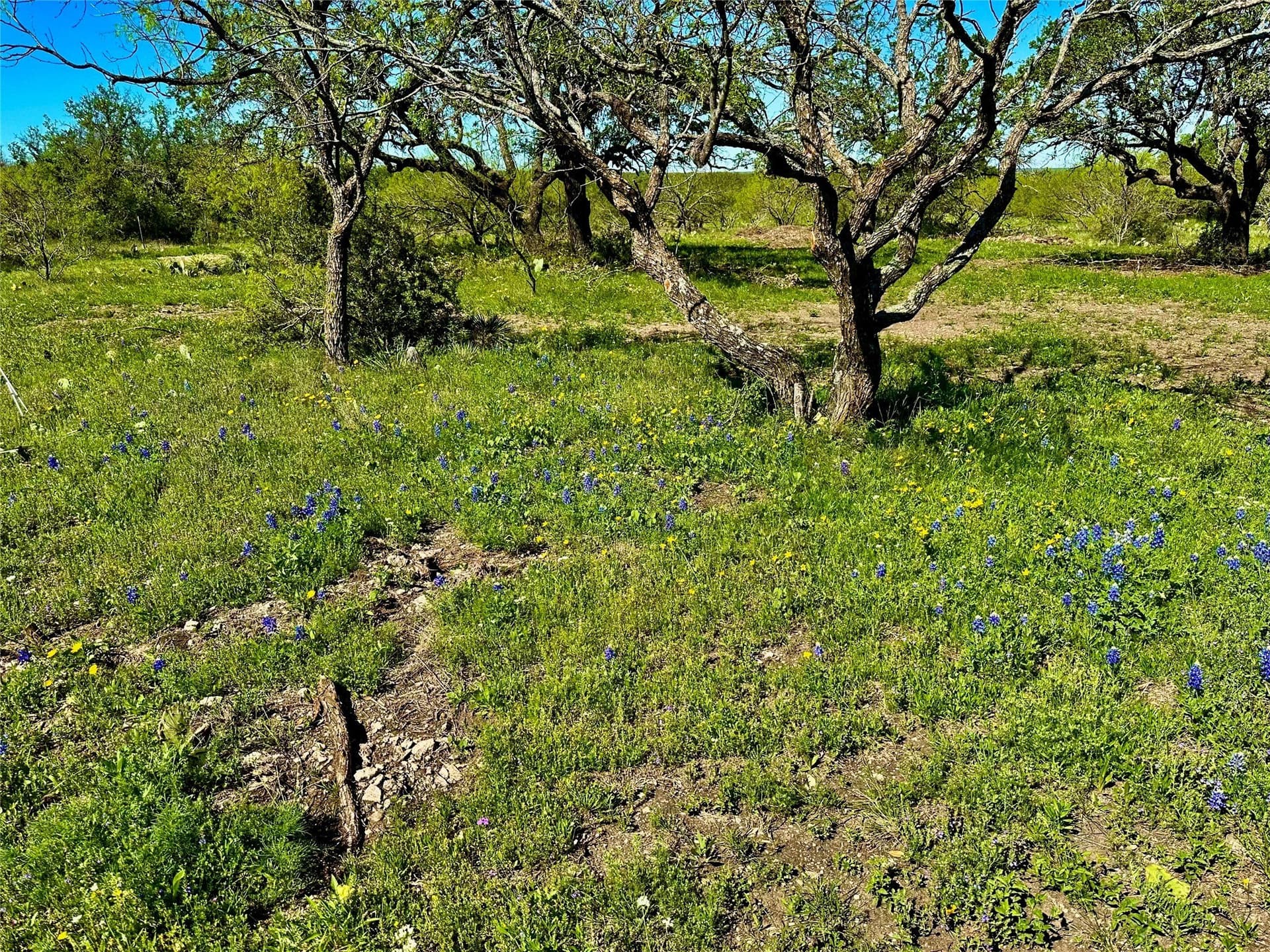 10.74 acres in McCulloch County - photo 8